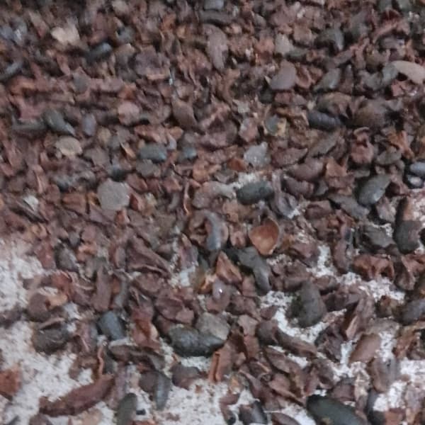 Nibs de cacao 50 g - Imagen 3